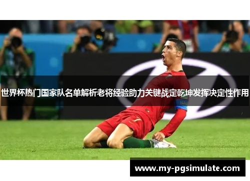 世界杯热门国家队名单解析老将经验助力关键战定乾坤发挥决定性作用